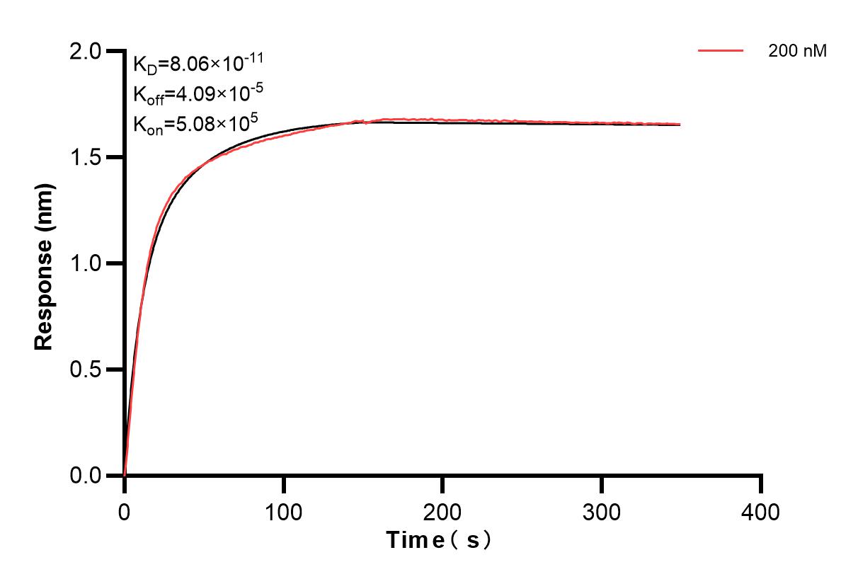 Affinity and Kinetic Characterization of 82188-4-PBS