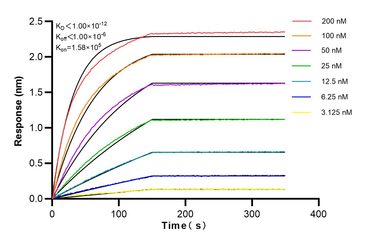 Affinity and Kinetic Characterization of 82214-2-PBS