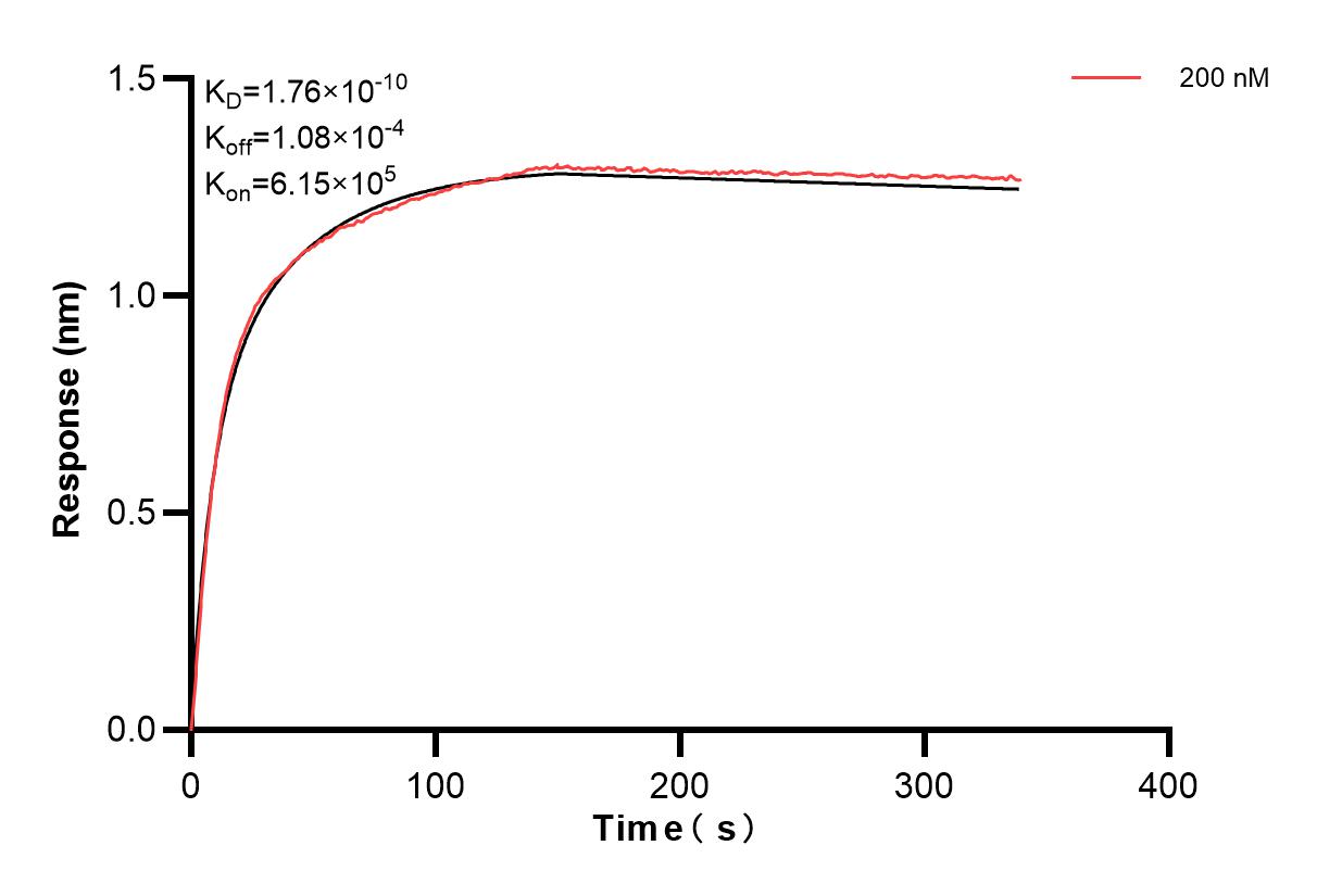 Affinity and Kinetic Characterization of 82271-10-PBS