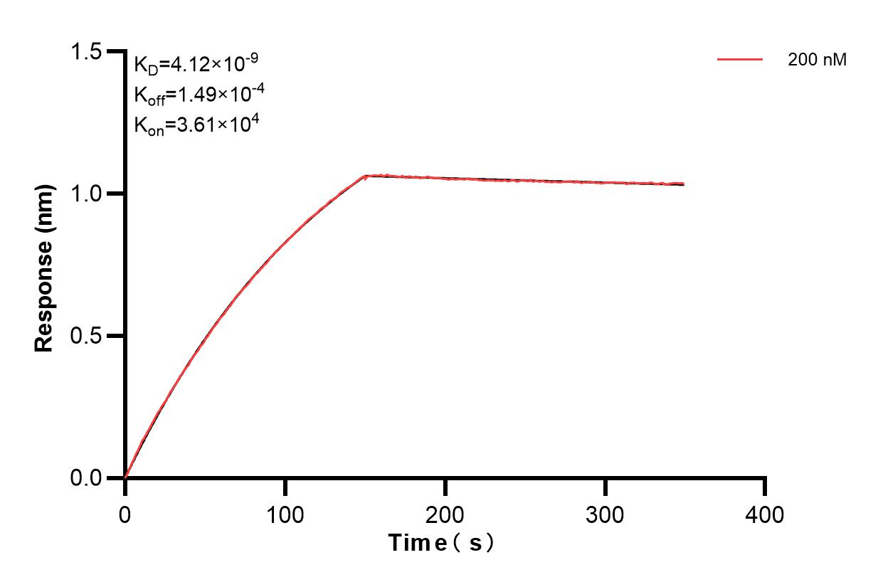 Affinity and Kinetic Characterization of 82296-2-PBS