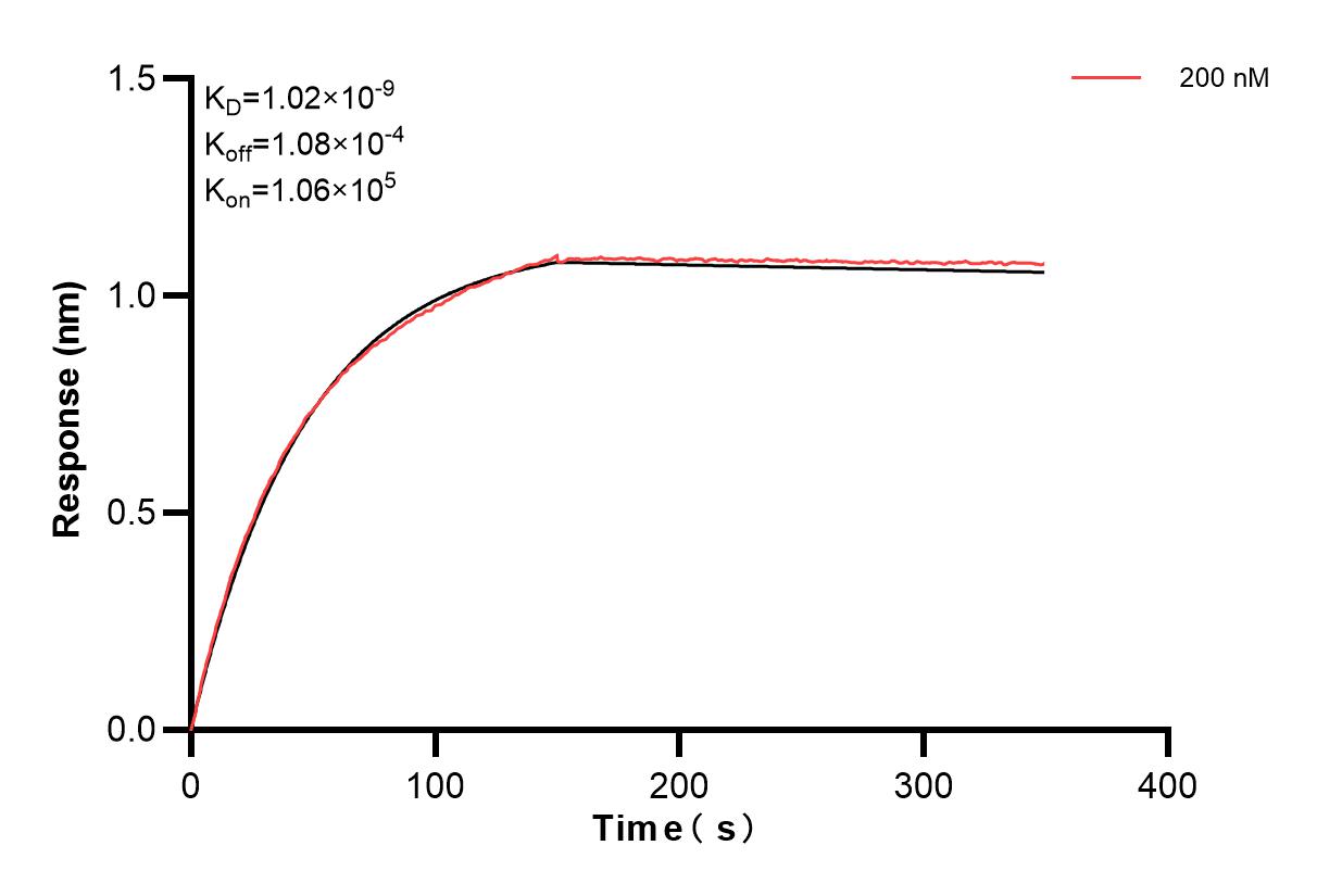 Affinity and Kinetic Characterization of 82296-5-PBS