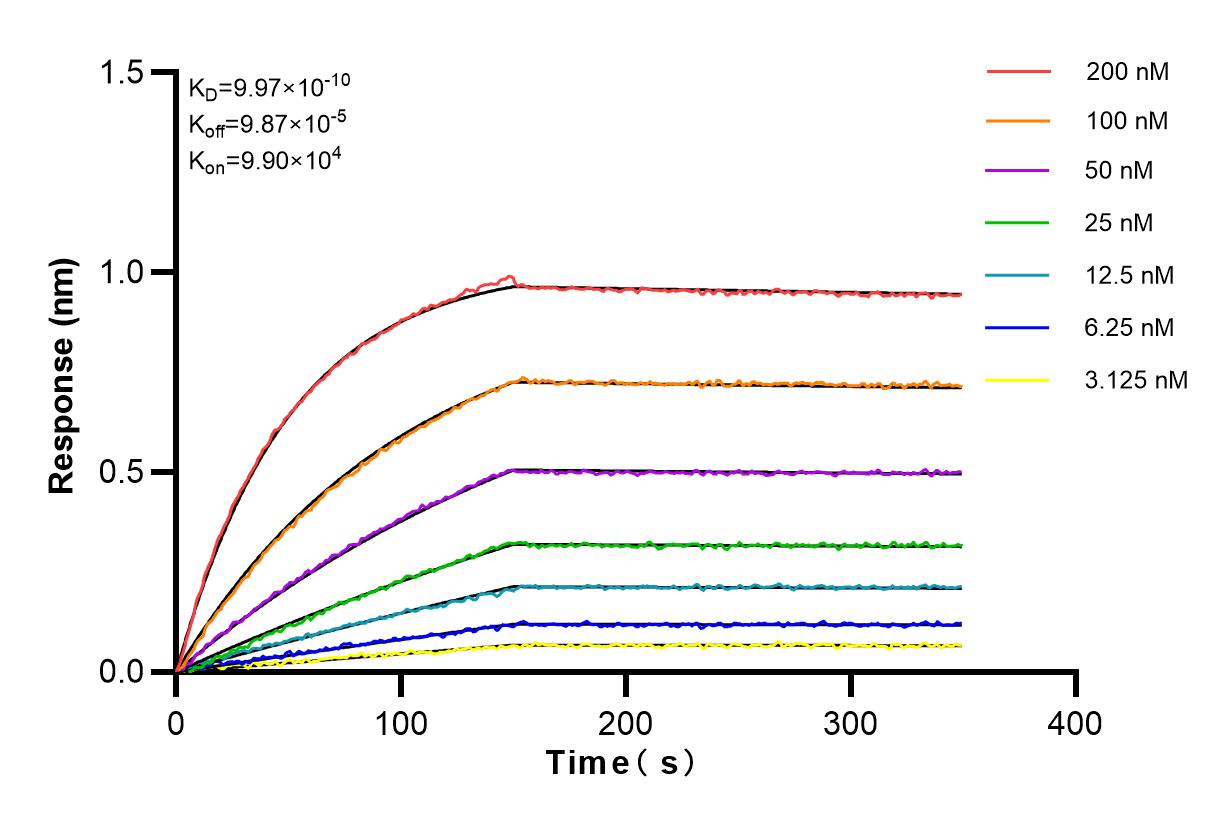 Affinity and Kinetic Characterization of 82463-1-PBS