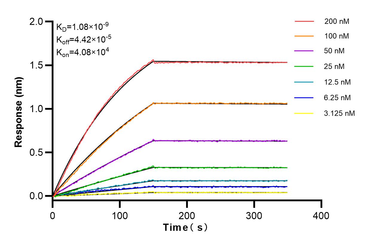 Affinity and Kinetic Characterization of 82469-6-RR