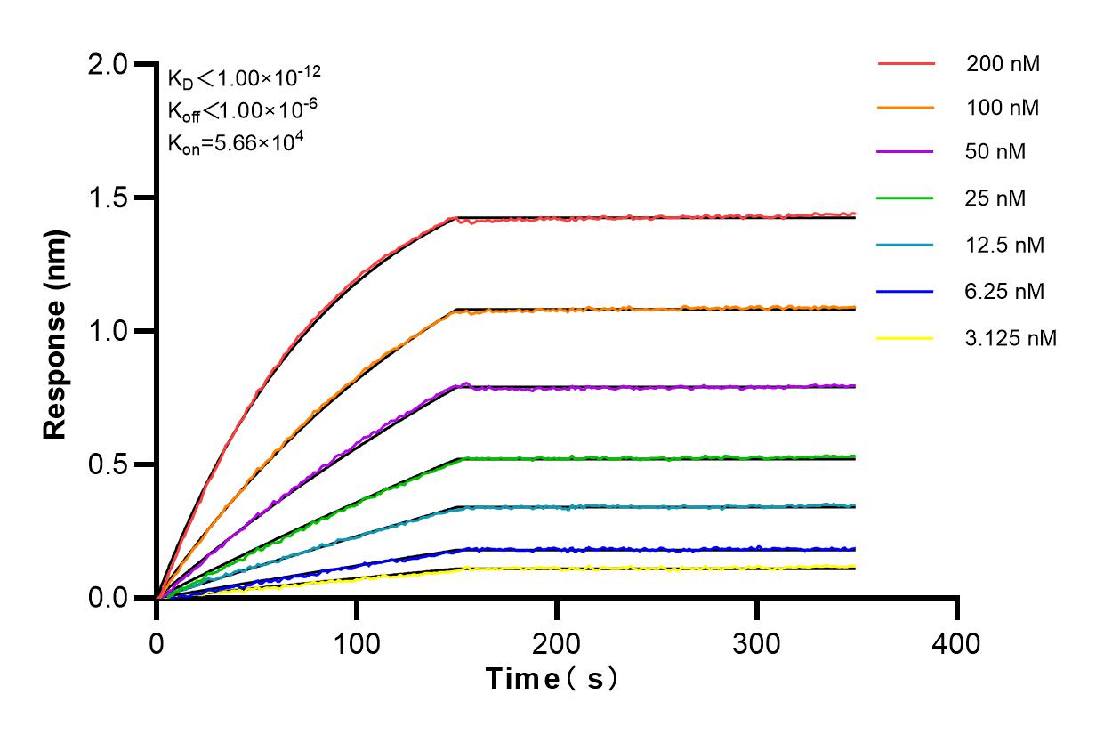 Affinity and Kinetic Characterization of 82540-1-RR