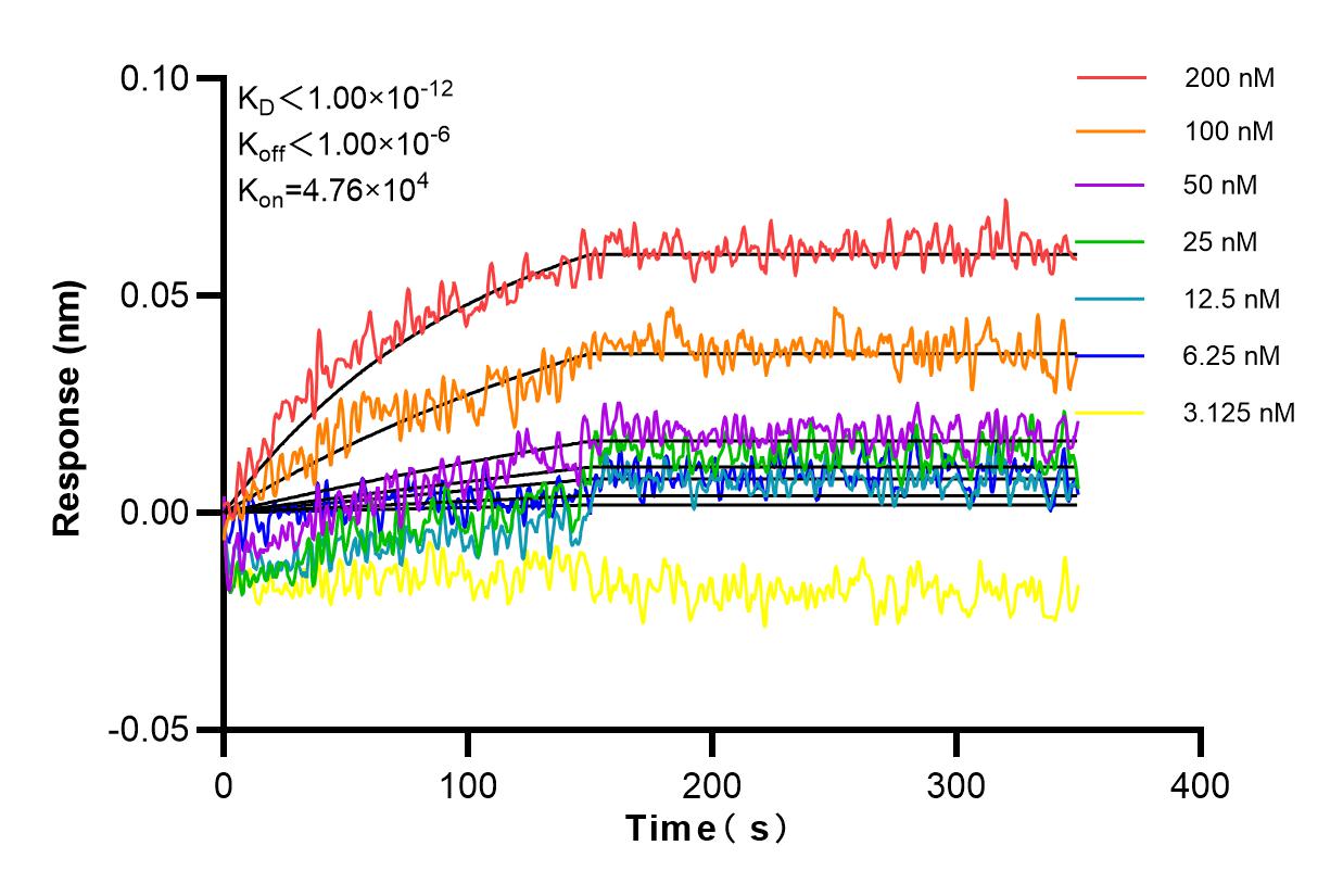 Affinity and Kinetic Characterization of 82678-2-RR