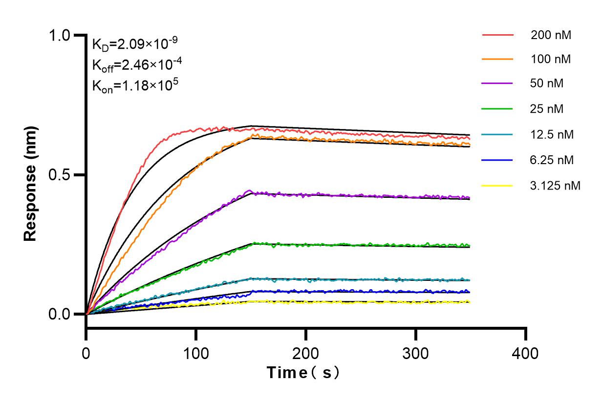 Affinity and Kinetic Characterization of 82696-15-RR