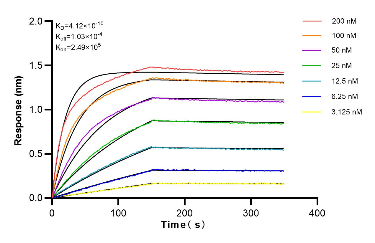 Affinity experiments of 82712-5-RR