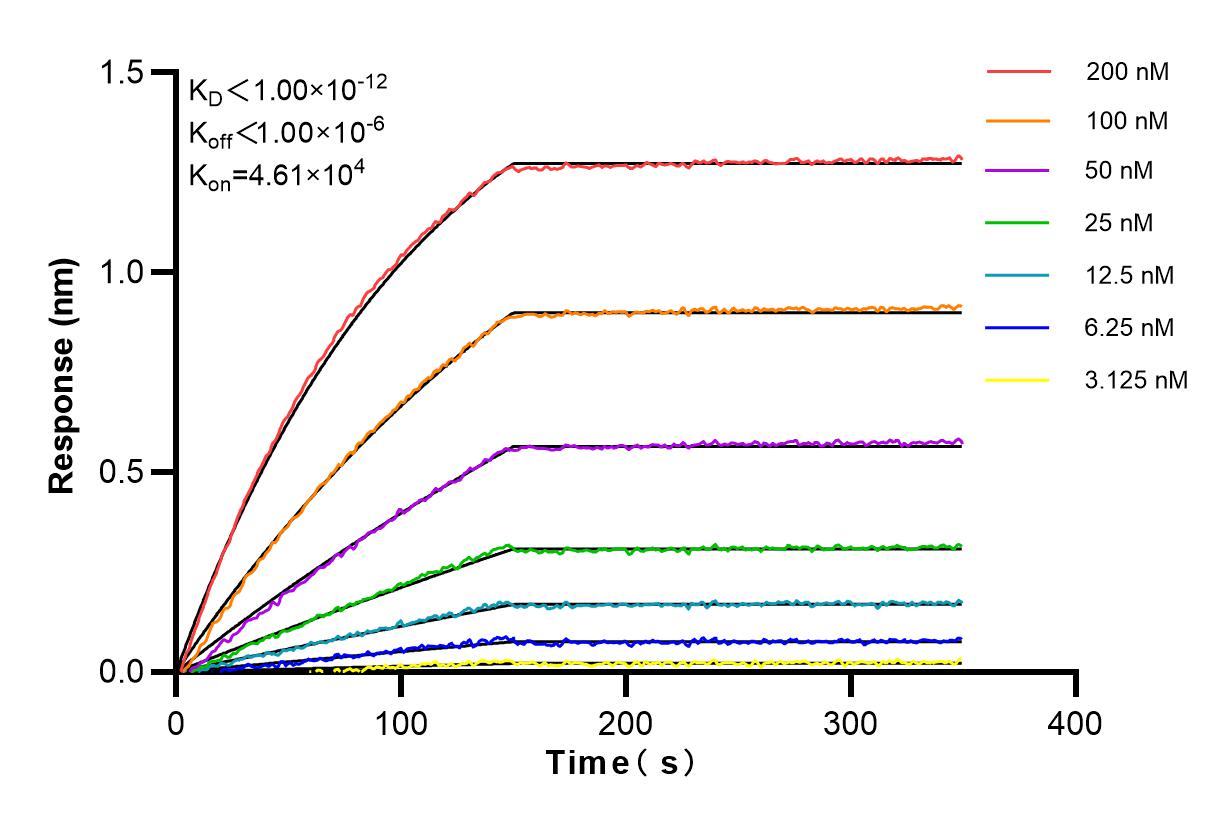 Affinity and Kinetic Characterization of 82719-13-RR