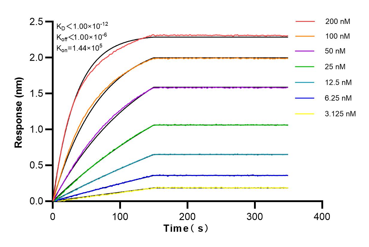 Affinity and Kinetic Characterization of 82732-5-RR