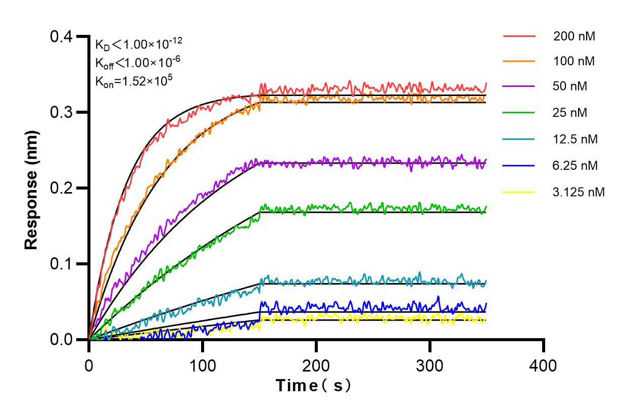 Affinity and Kinetic Characterization of 82734-4-RR