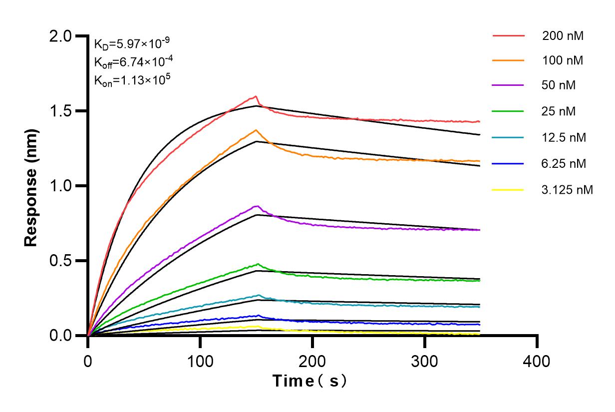 Affinity and Kinetic Characterization of 82743-1-RR