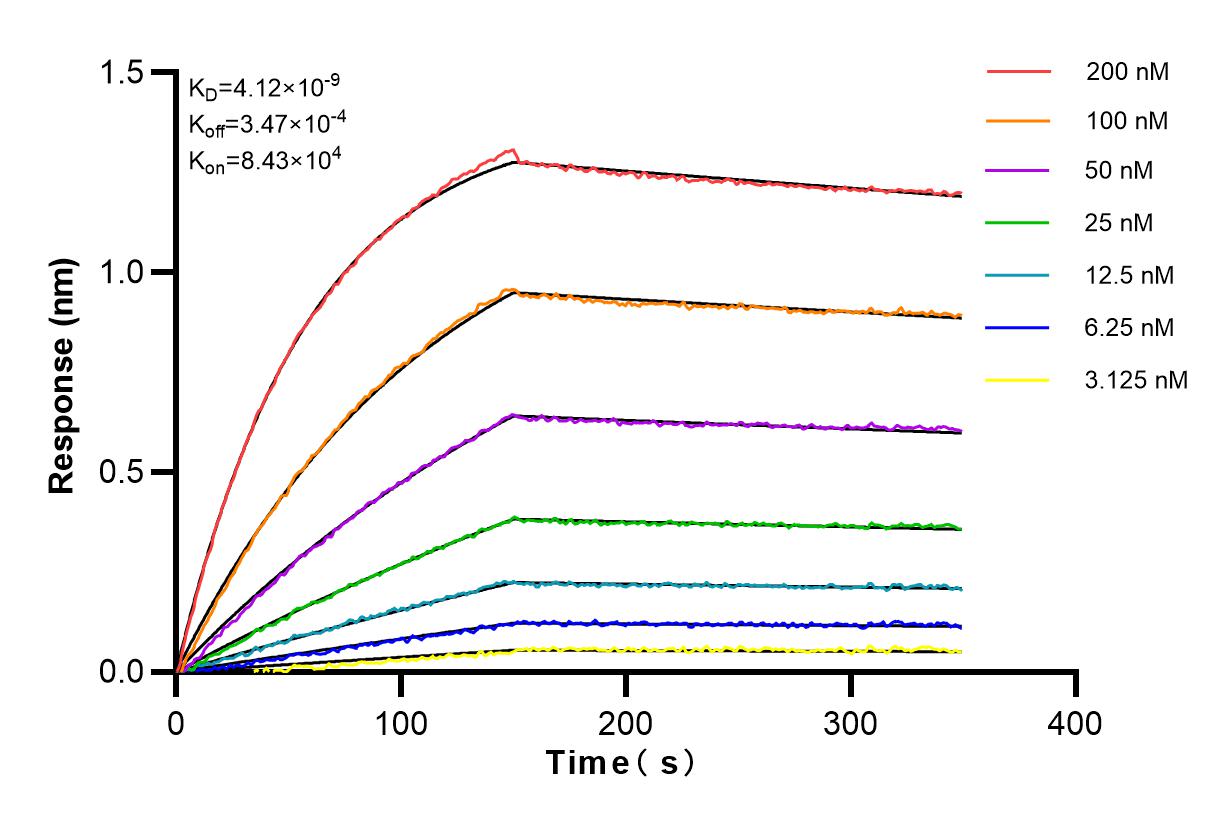 Affinity and Kinetic Characterization of 82747-4-RR