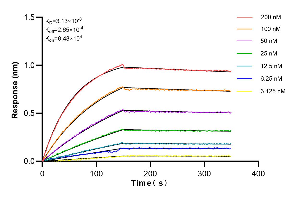 Affinity and Kinetic Characterization of 82747-6-RR