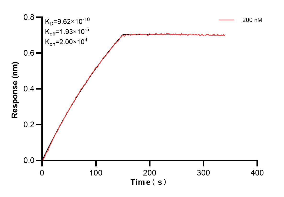 Affinity and Kinetic Characterization of 82780-2-PBS