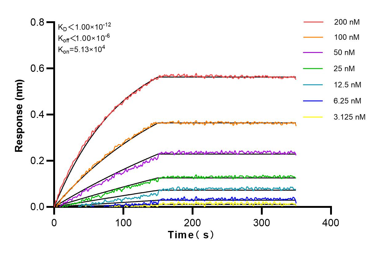 Affinity experiments of 82781-6-RR