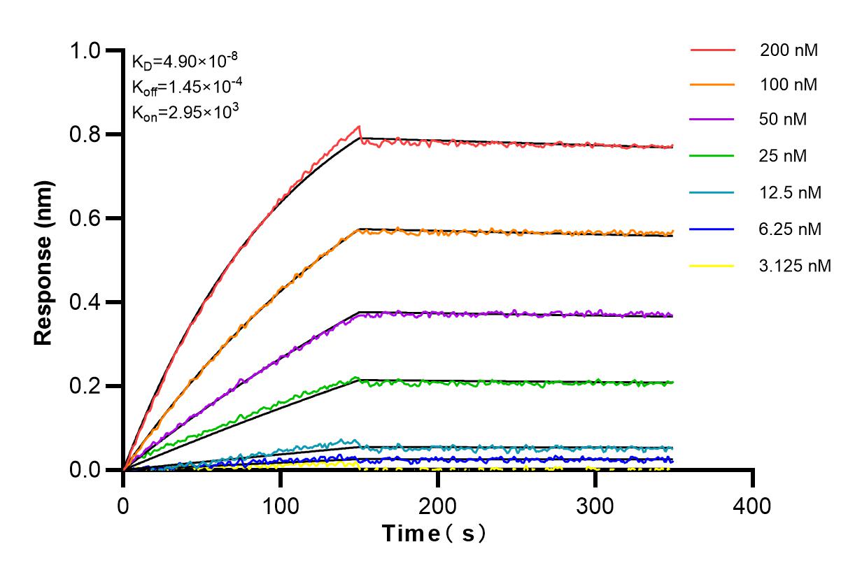 Affinity and Kinetic Characterization of 82790-4-RR