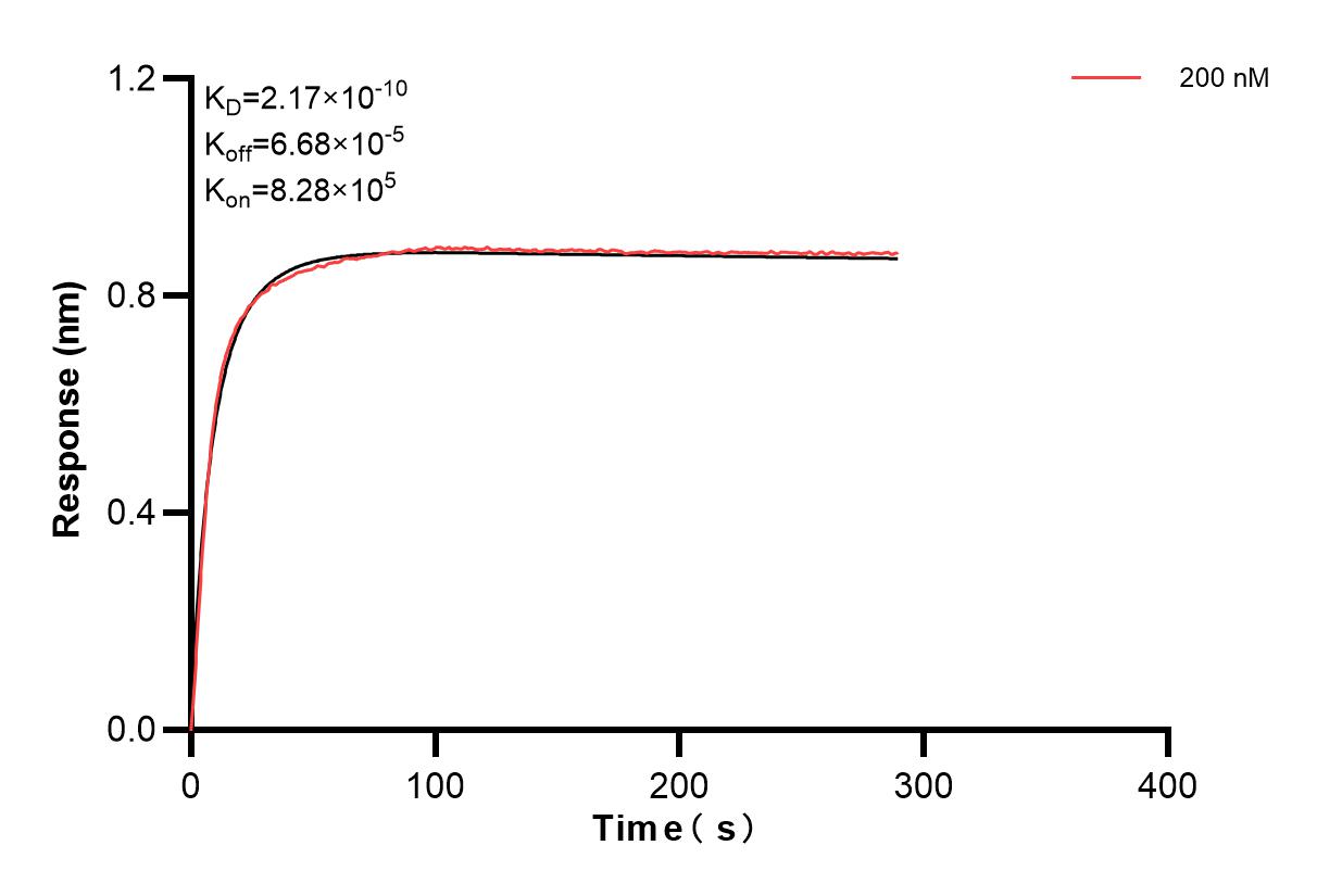 Affinity and Kinetic Characterization of 82794-2-PBS