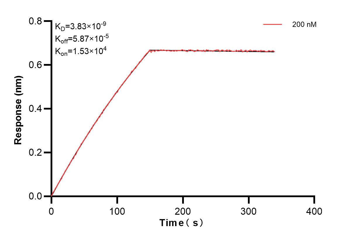 Affinity and Kinetic Characterization of 82798-4-PBS