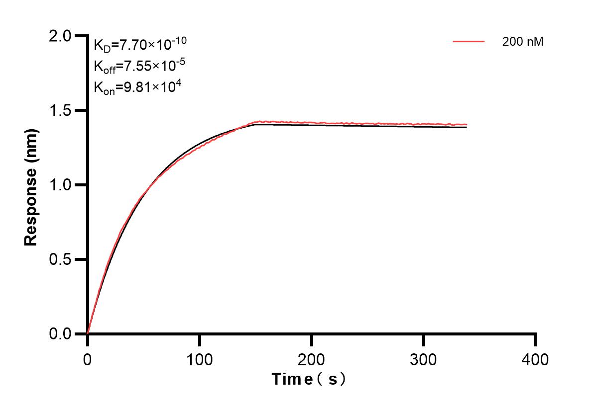 Affinity and Kinetic Characterization of 82798-5-PBS