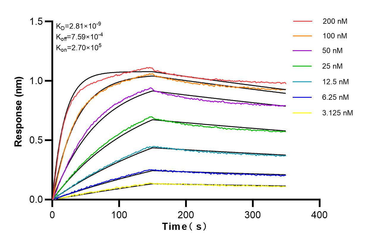 Affinity and Kinetic Characterization of 82801-2-RR