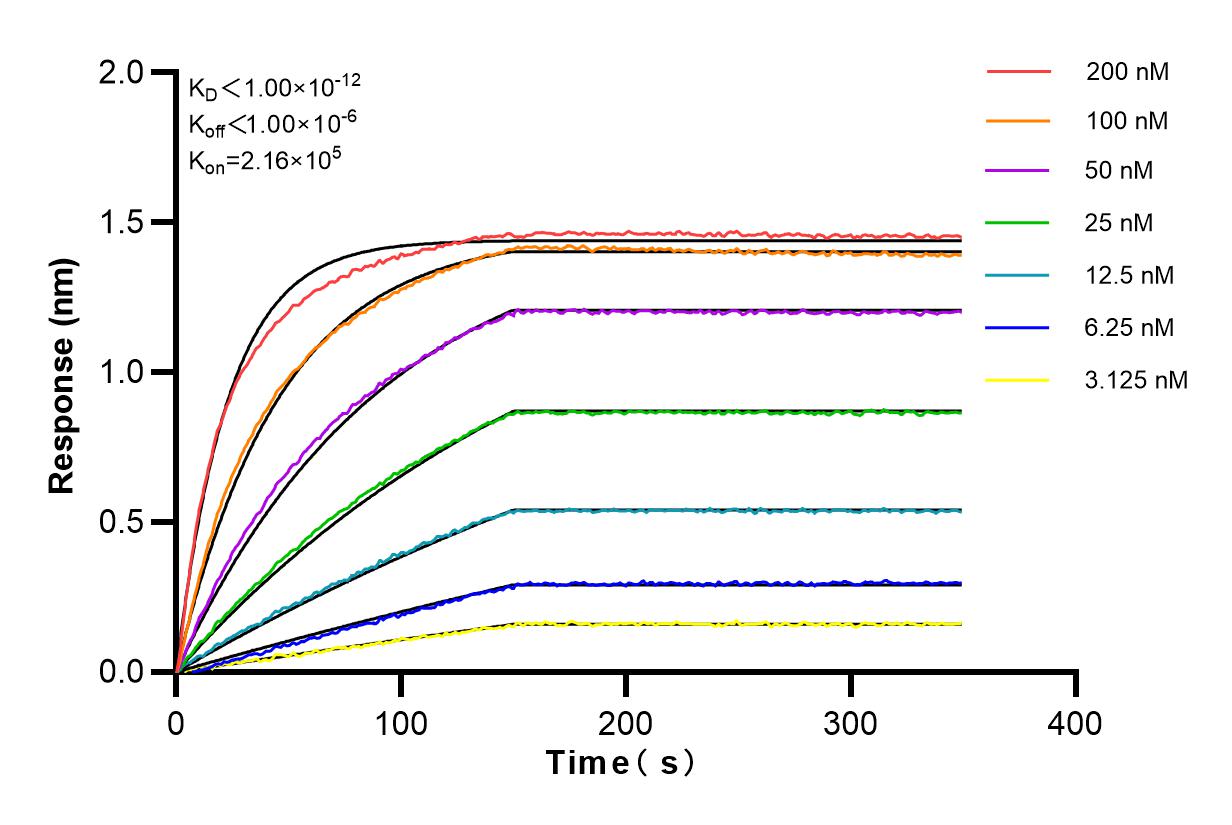 Affinity and Kinetic Characterization of 82801-4-RR