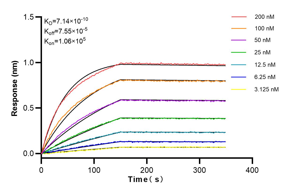 Affinity and Kinetic Characterization of 82827-8-RR