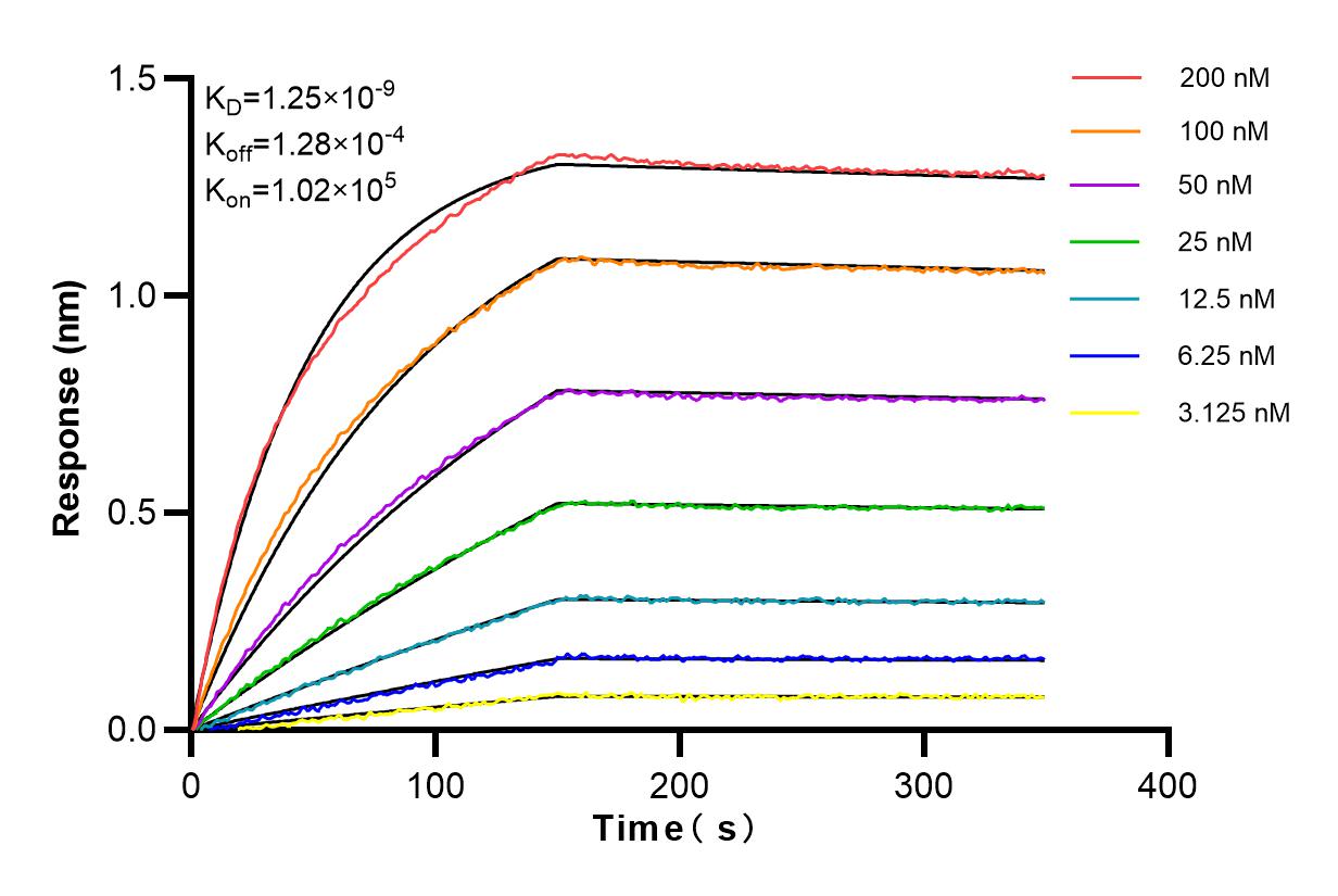 Affinity and Kinetic Characterization of 82834-2-PBS