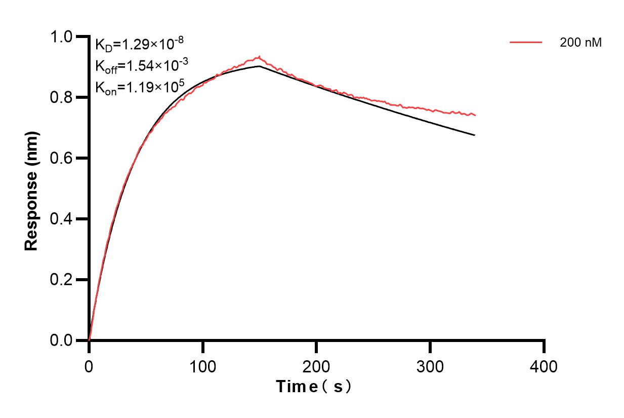 Affinity and Kinetic Characterization of 82870-3-PBS