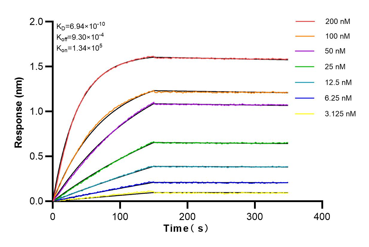 Affinity and Kinetic Characterization of 82871-1-RR