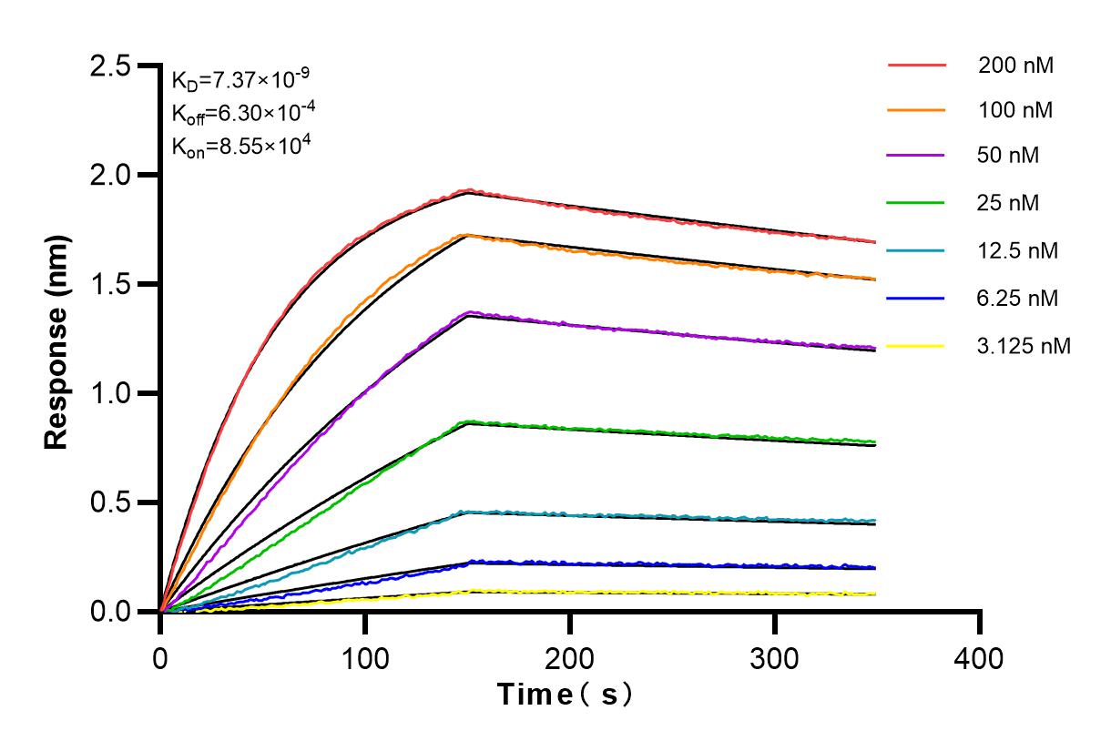 Affinity and Kinetic Characterization of 82878-2-PBS