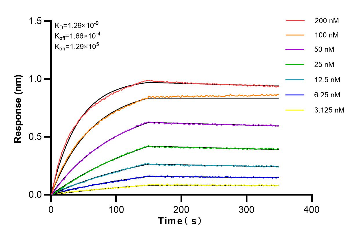 Affinity and Kinetic Characterization of 82890-2-RR