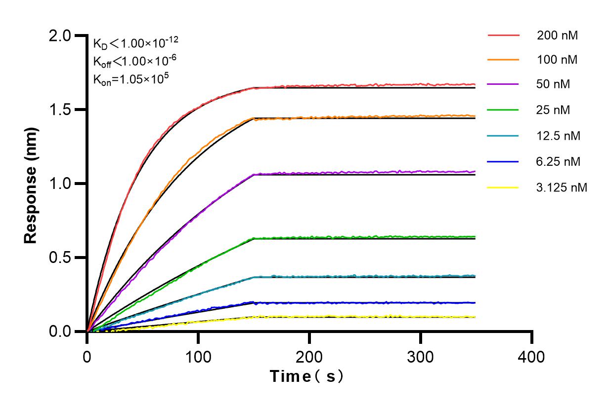 Affinity and Kinetic Characterization of 82894-1-RR