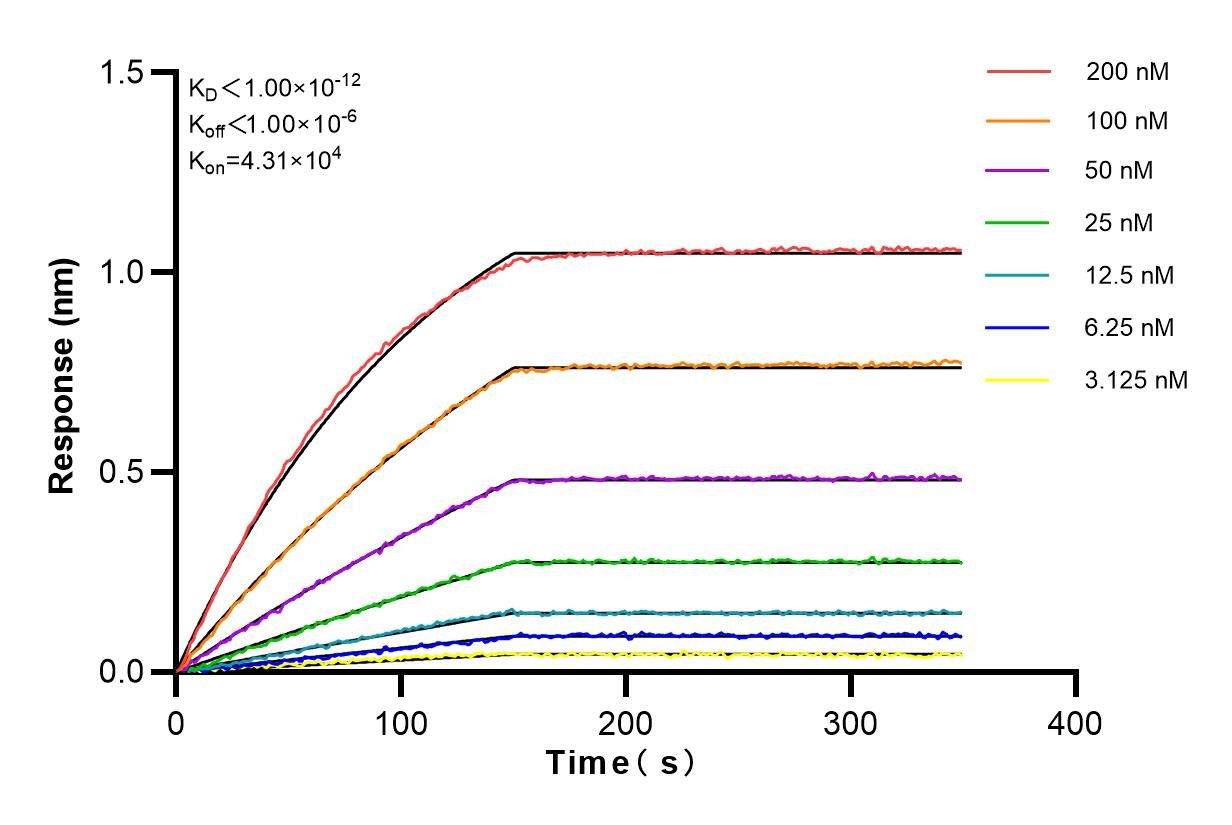 Affinity and Kinetic Characterization of 82894-7-RR