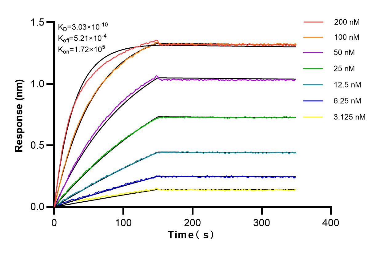 Affinity and Kinetic Characterization of 82899-2-RR