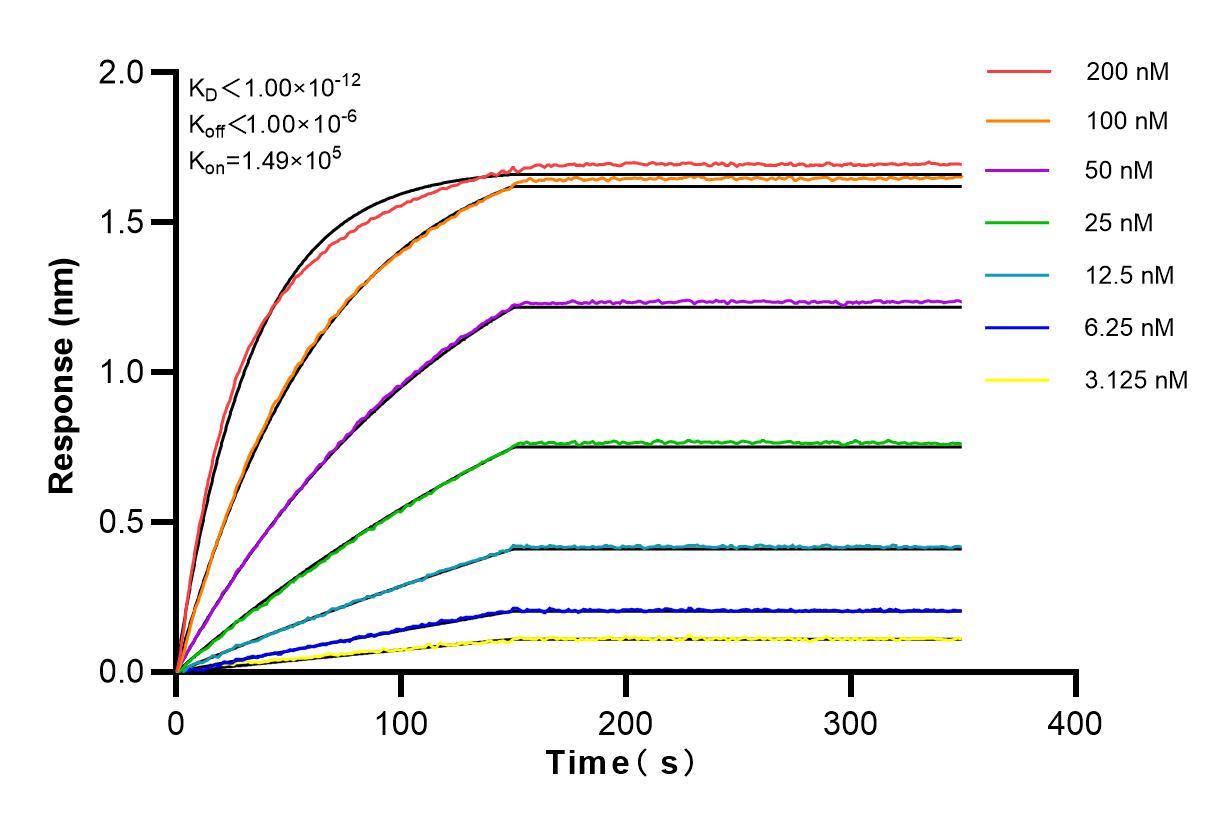 Affinity and Kinetic Characterization of 82900-1-RR