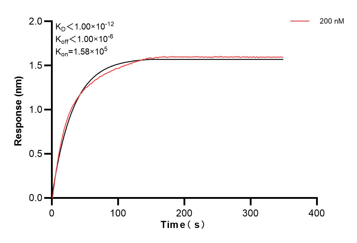 Affinity and Kinetic Characterization of 82900-3-PBS