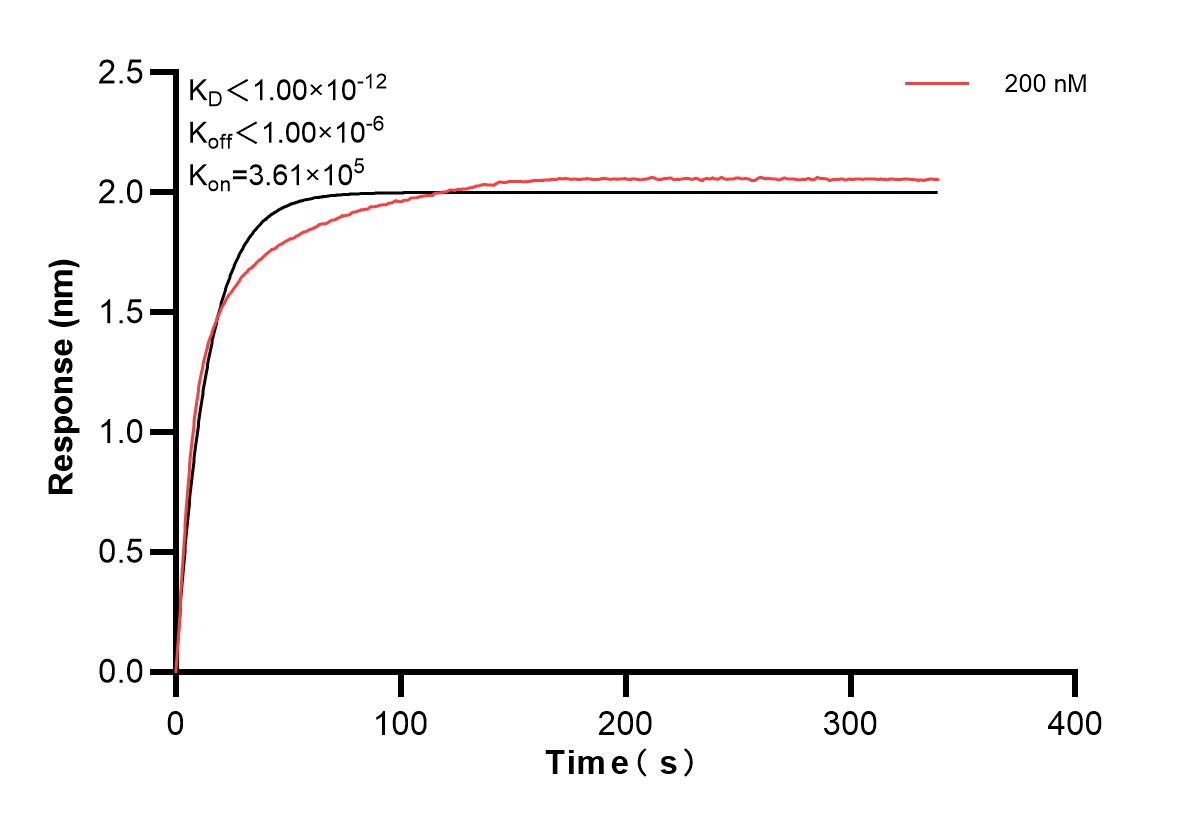 Affinity and Kinetic Characterization of 82900-5-PBS