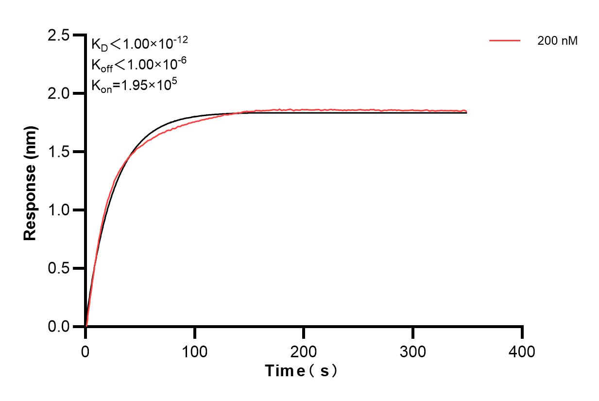 Affinity and Kinetic Characterization of 82900-8-PBS