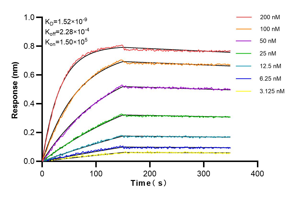 Affinity and Kinetic Characterization of 82911-1-RR