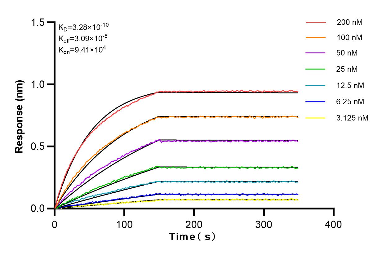 Affinity and Kinetic Characterization of 82912-5-PBS