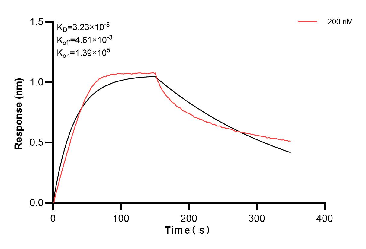 Affinity and Kinetic Characterization of 82914-3-PBS