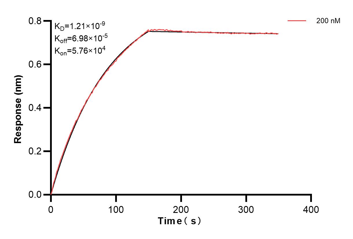 Affinity and Kinetic Characterization of 82914-4-PBS