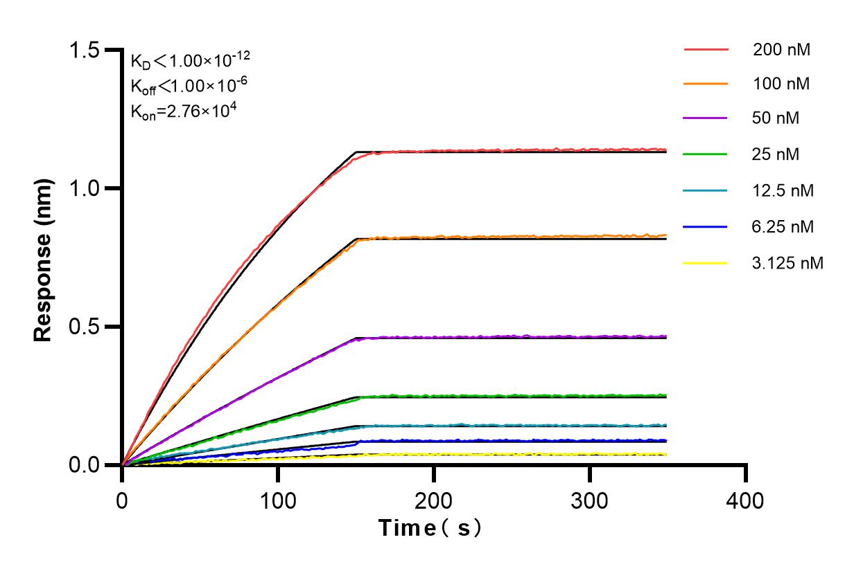 Affinity and Kinetic Characterization of 82920-1-RR