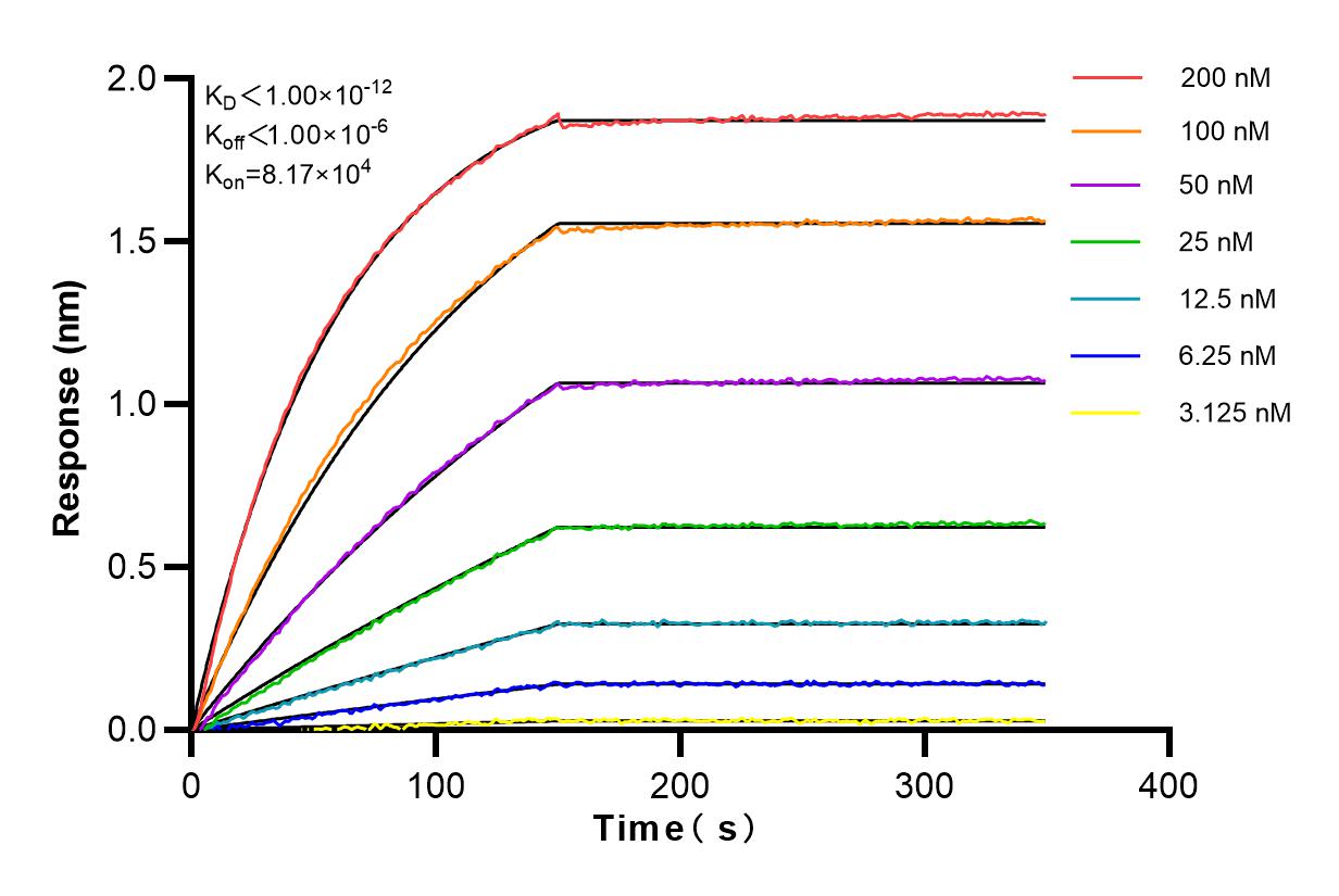 Affinity and Kinetic Characterization of 82924-2-PBS