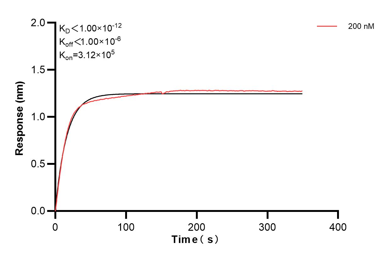 Affinity and Kinetic Characterization of 82935-2-PBS