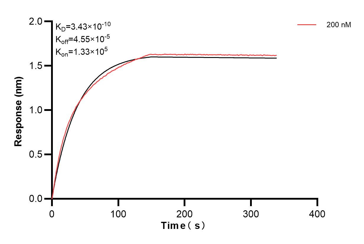 Affinity and Kinetic Characterization of 82936-2-PBS