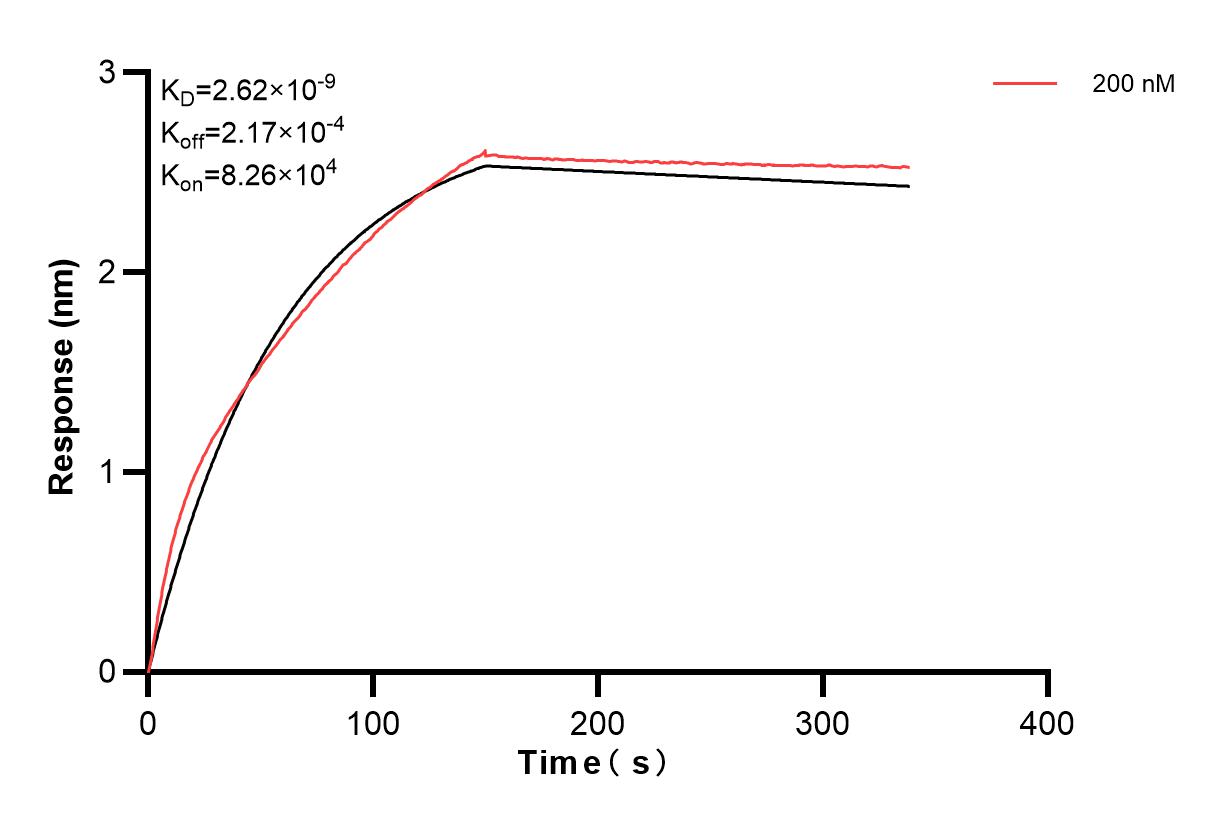 Affinity and Kinetic Characterization of 82936-5-PBS