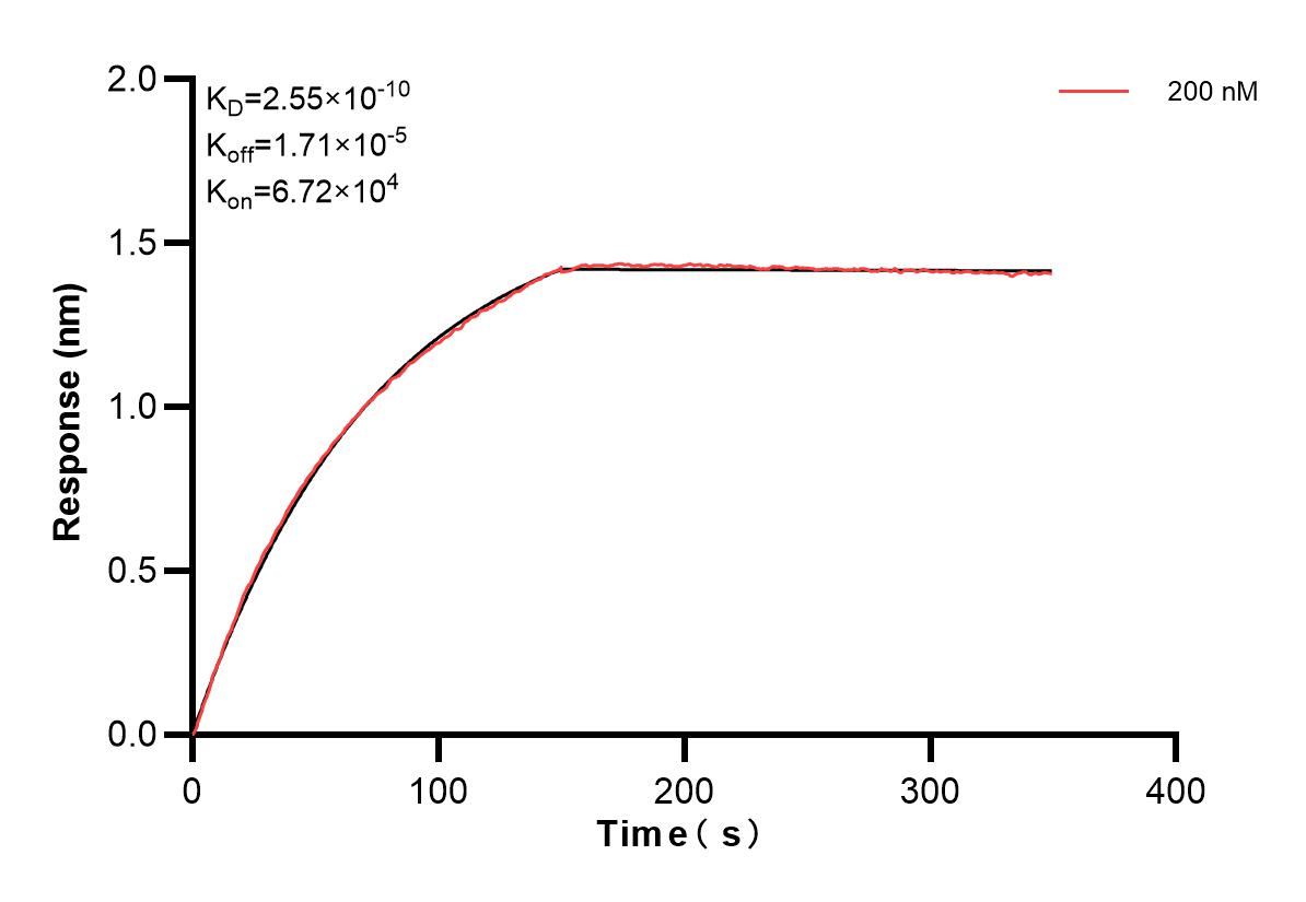 Affinity and Kinetic Characterization of 82940-5-PBS