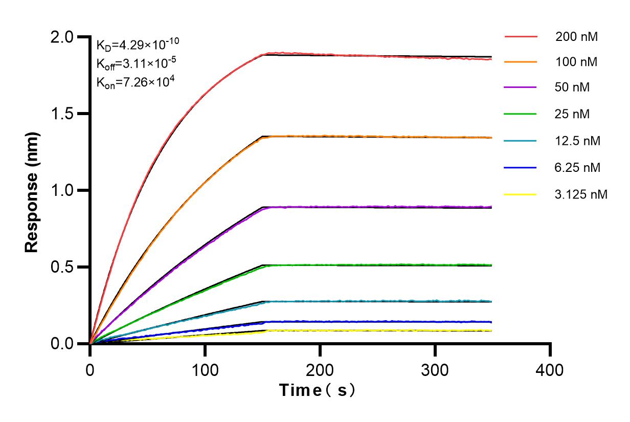 Affinity and Kinetic Characterization of 82959-1-PBS