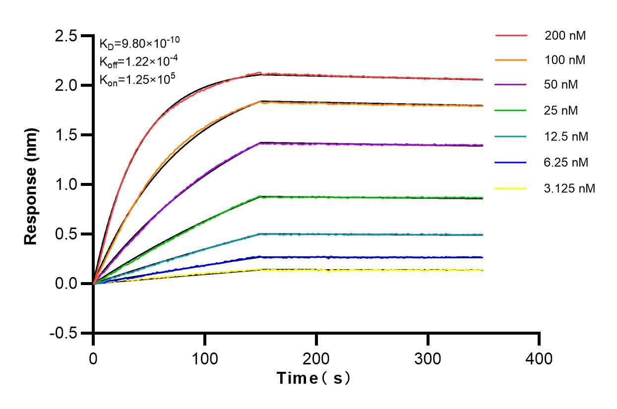 Affinity and Kinetic Characterization of 82959-7-PBS